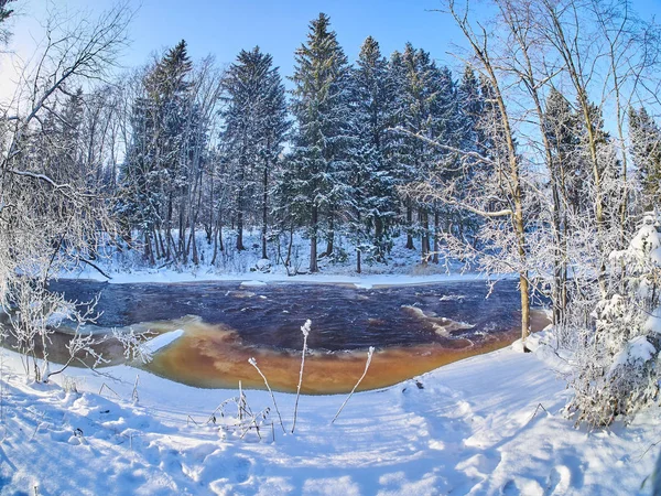 Rivière Dans Forêt Hiver — Photo