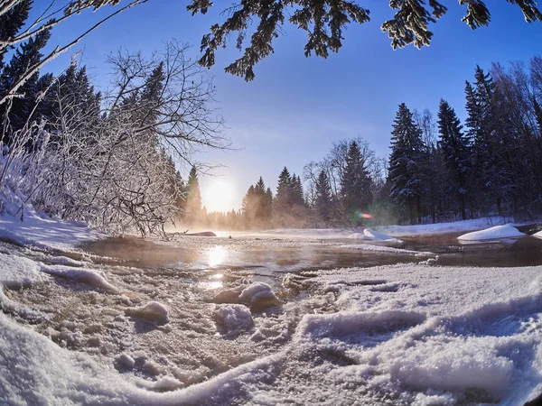 Rivière Dans Forêt Hiver — Photo