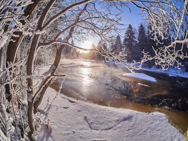 Floden Skogen Vinter — Stockfoto