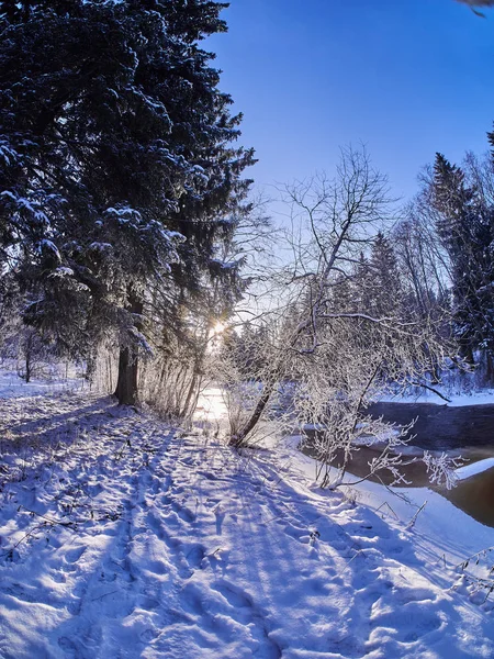 Rio Floresta Inverno — Fotografia de Stock