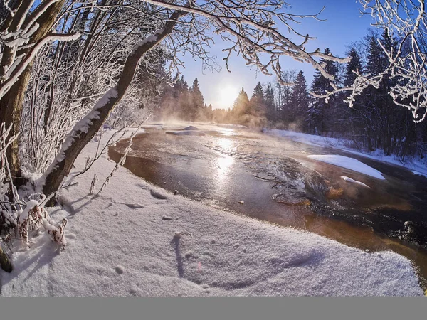 Rivière Dans Forêt Hiver — Photo