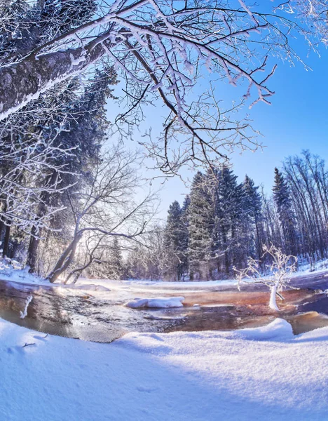 Rio Floresta Inverno — Fotografia de Stock