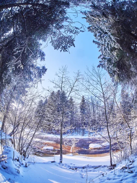 Fluss Wald Winter — Stockfoto