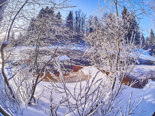 Río Bosque Invierno — Foto de Stock