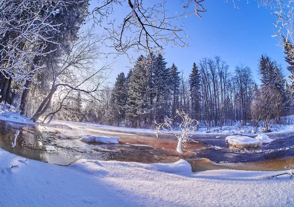 Rivière Dans Forêt Hiver — Photo