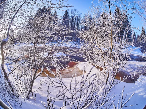 Rivière Dans Forêt Hiver — Photo