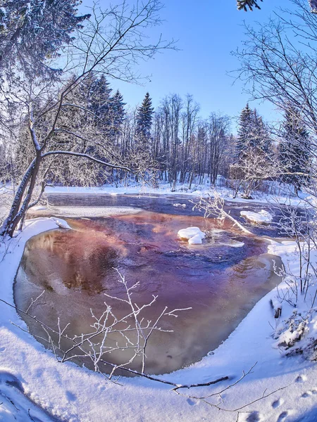 Rivière Dans Forêt Hiver — Photo