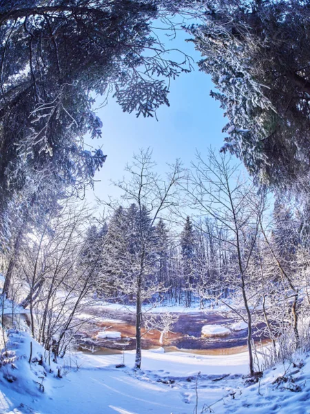 Река Лесу Зима — стоковое фото