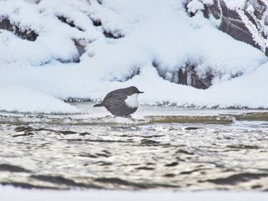 Nehir kıyısında üzerinde kepçe