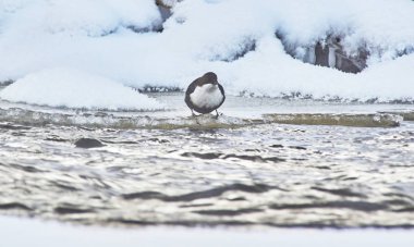 Nehir kıyısında üzerinde kepçe