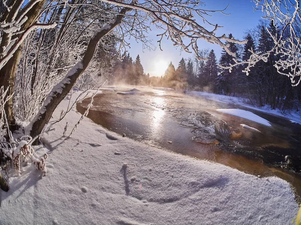 Floden Skogen Vinter — Stockfoto