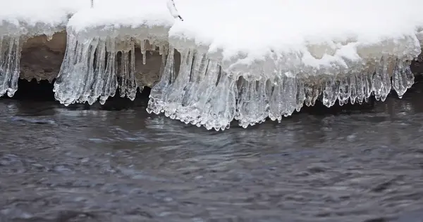 Río Bosque Invierno — Foto de Stock