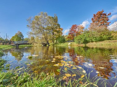 Parktaki nehir. sonbahar