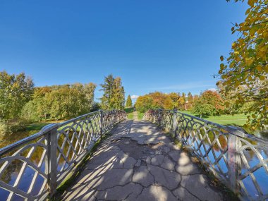 Parktaki nehir. sonbahar