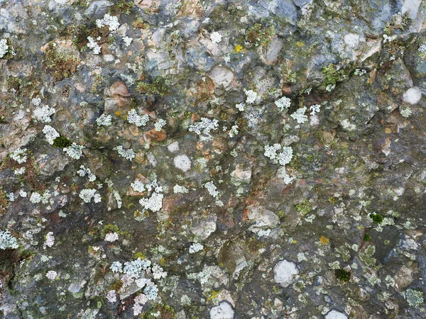 Pedra Granito Com Líquen Contexto — Fotografia de Stock