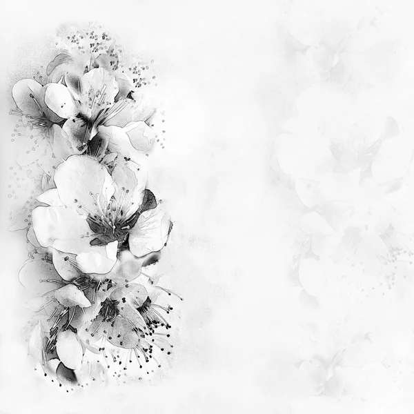 Greeting card with flowers on hazed  background in black and whi — Stock Photo, Image