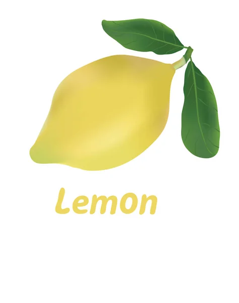 Limón aislado en blanco.Pegatina con espacio para texto . — Vector de stock