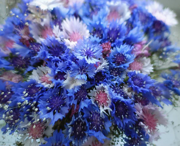 Квітковий фон зі стилізованим букетом синіх квітів — стокове фото