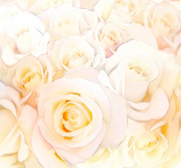 Floral background with roses in pastel color — Stock Photo, Image