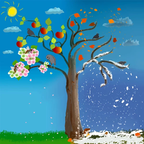 Apple tree in four seasons on cloudy sky background with sun.