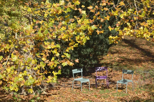 Sillas entre hojas de otoño — Foto de Stock