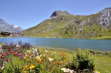 Tignes göl ve çiçekler Fransa