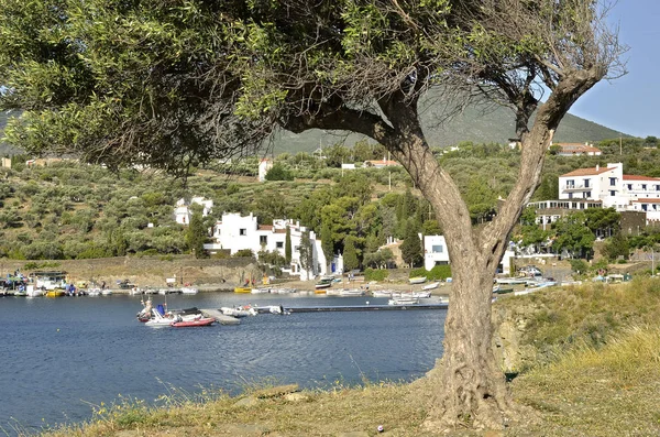 Port Lligat in Spagna . — Foto Stock