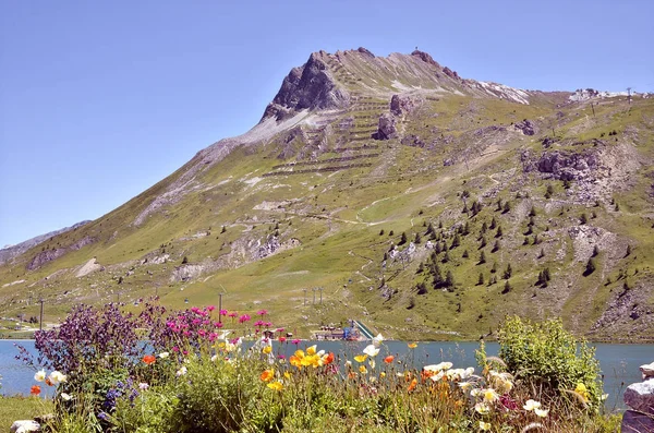 Lake of Tignes and flowers in France — Stock Photo, Image