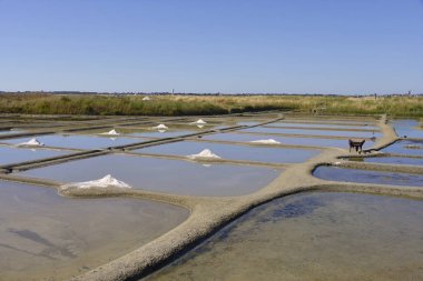 Le Pouliguen 'deki tuzlu bataklık, Batı Fransa' da Loire-Atlantik Bölümü 'nde bir komün. Le Pouliguen, balıkçılık limanı ve marinası için ünlü Cte d 'Amour sahilinde bir tatil köyüdür.