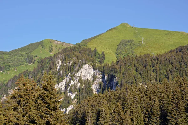 Berge Und Kiefernwald Bei Bernex Gemeinde Département Haute Savoie Den — Stockfoto