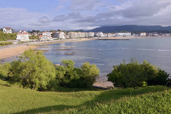 Viken Saint Jean Luz Klippan Med Tamarix Träd Saint Jean — Stockfoto