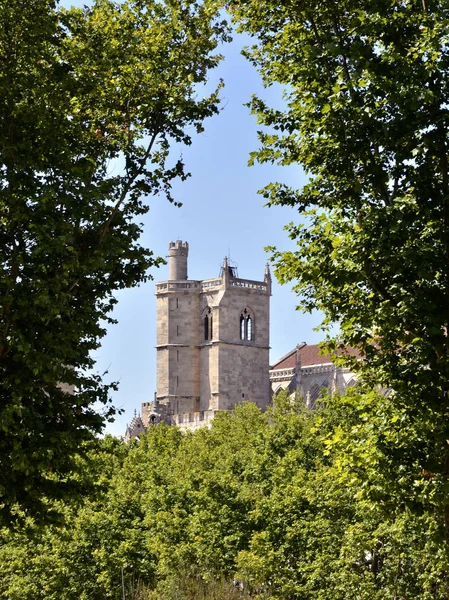 Torre Del Palais Des Archevques Marco Hojas Árbol Narbonne Ciudad — Foto de Stock