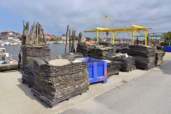 Oester Bags Ostreicole Harbor Teste Buch Een Gemeente Het Franse — Stockfoto