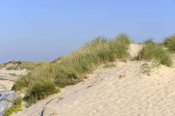 Dune Pirou Kommun Halvön Cotentin Manche Departement Nedre Normandie Nordvästra — Stockfoto
