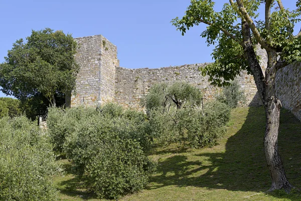Fortifications Olive Trees San Gimignano Walled Medieval Hill Town Province — Stock Photo, Image
