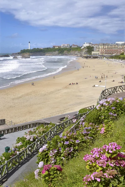 Strand Und Hortensienblüten Der Bucht Von Biskaya Bei Biarritz Einer — Stockfoto