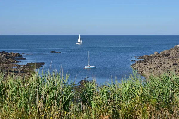 Costa Selvaggia Rocciosa Cte Sauvage Francese Pouliguen Nella Regione Dei — Foto Stock