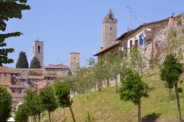 Сан Джиміньяно Великі Кам Яні Вежі Деревами Передньому Плані Gimignano — стокове фото