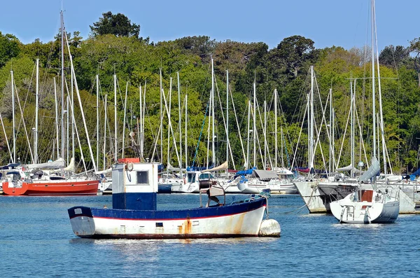 Fishing Boat Port Bnodet Trees Background Bnodet Commune Finistre Department — Stock Photo, Image