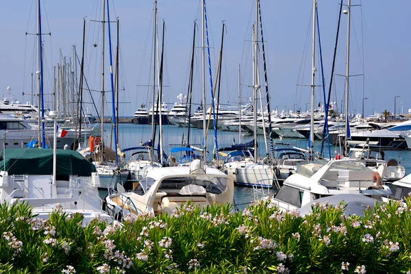 Porto Com Rosebay Primeiro Plano Cannes França Uma Cidade Localizada — Fotografia de Stock