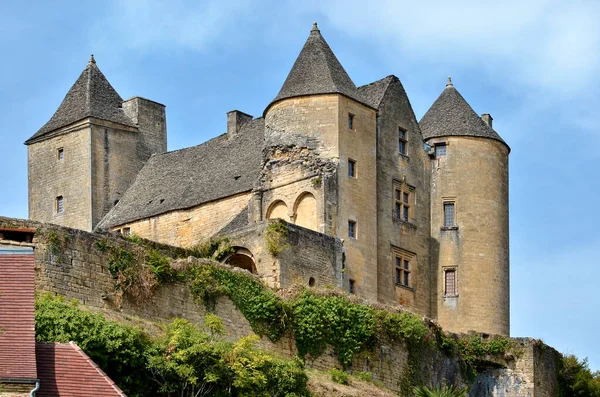 サリニャック アイヴィグ城 Salignac Eyvigues フランス南西部ヌーヴェル アキテーヌのドードーニュ県の集落 — ストック写真
