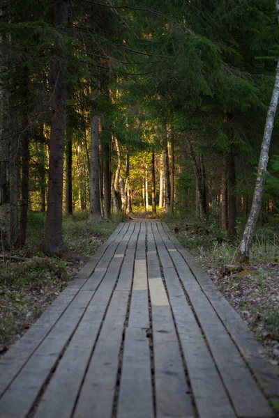 Dřevěný Chodník Večerním Parku — Stock fotografie