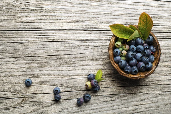 Blåbär frukt närbild — Stockfoto