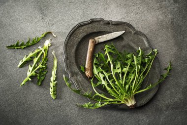 Taze karahindiba marul