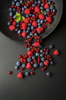 Meyveleri siyah bir arka plan