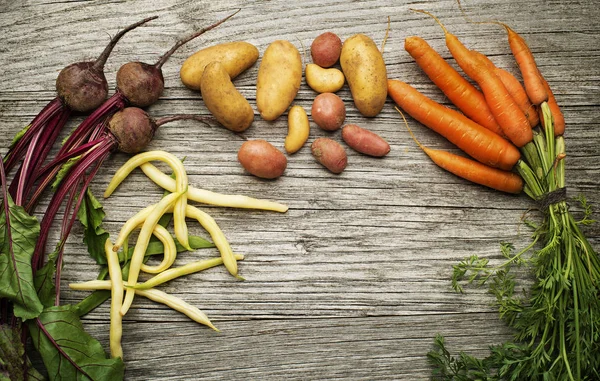 Raiz de legumes com feijão — Fotografia de Stock