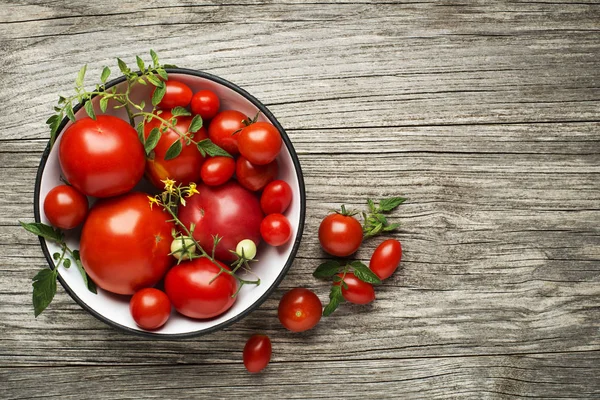Tomates en tazón — Foto de Stock