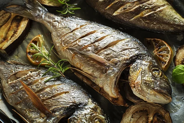 Fish food meal — Stock Image Fish food meal Stock Photo