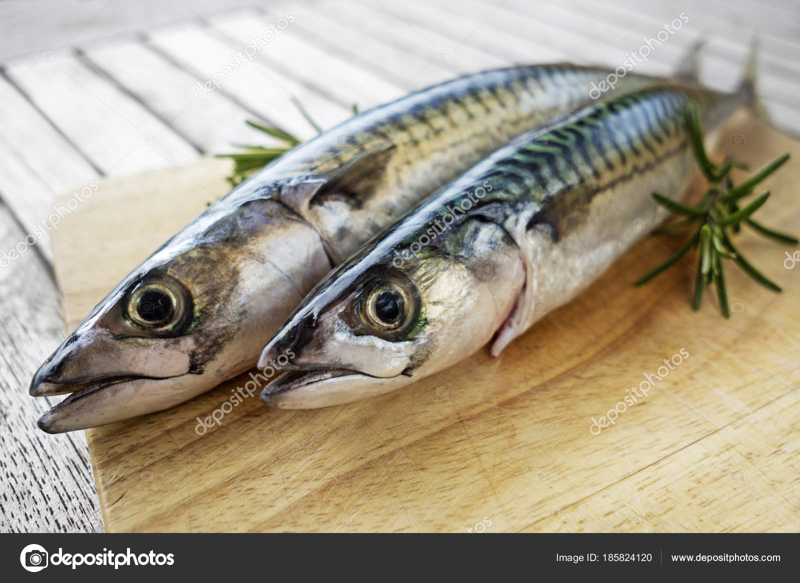 Sgombro Di Pesce Crudo Pesce Azzurro Foto Stock Photodesign