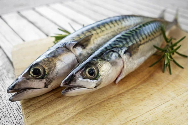 Raw Fish mackerel. Blue fish. — Stock Photo, Image